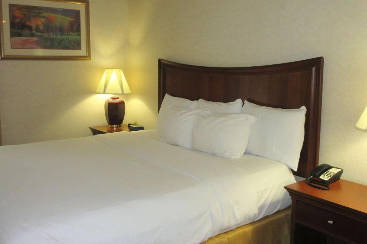 Quality Inn & Suites Owego Eksteriør billede